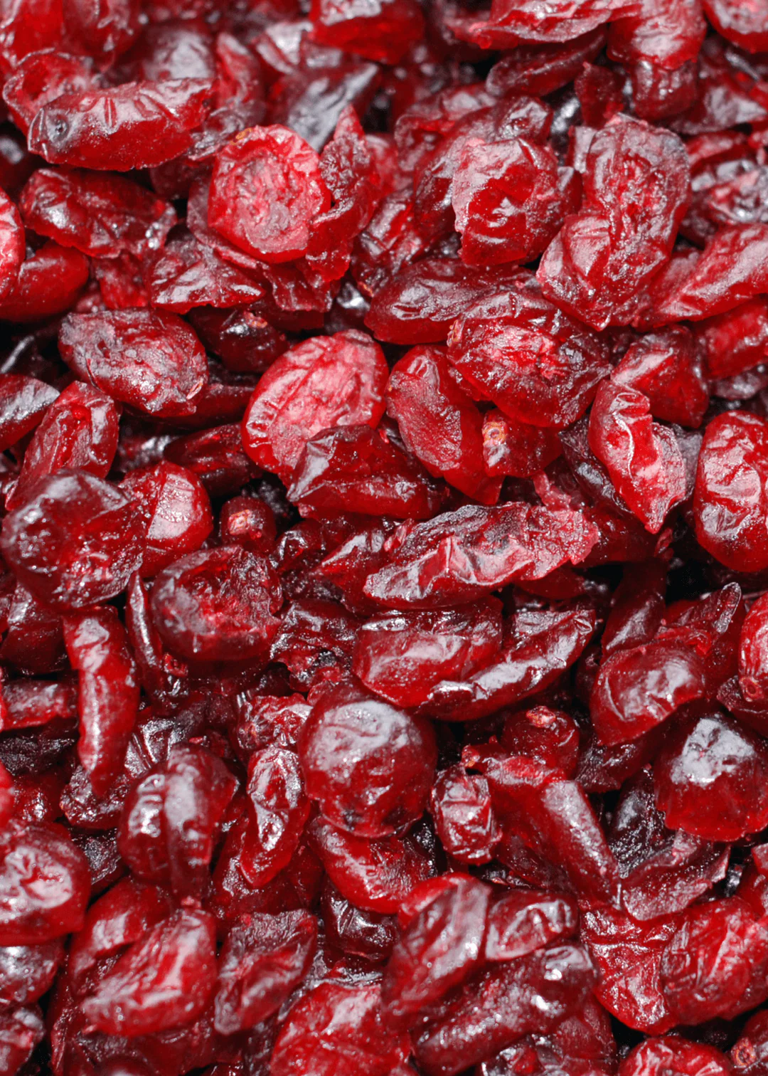 Cranberries - Image 3