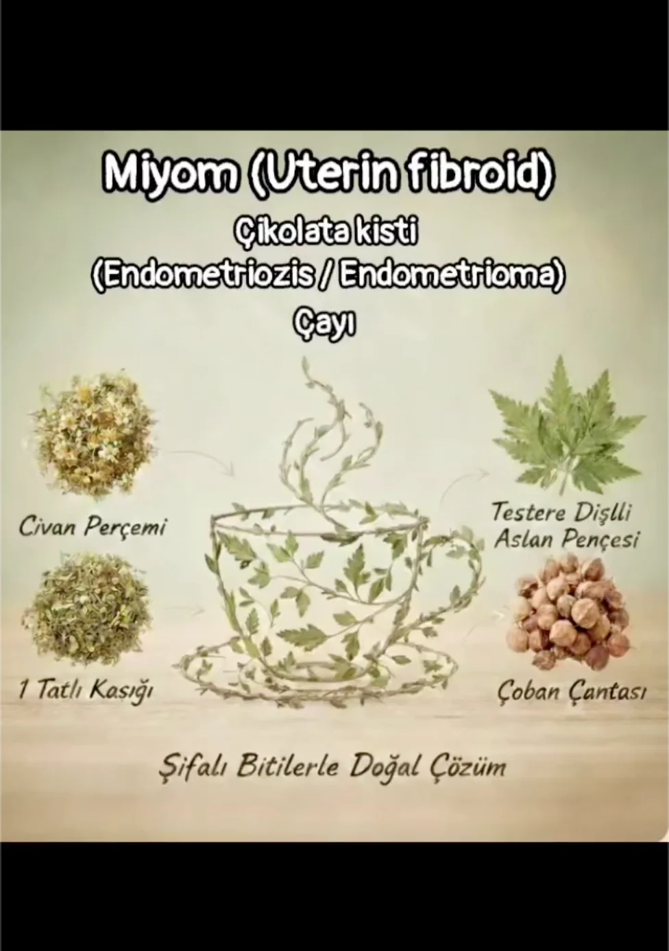 Gencer Seri Miyom/Çikolata kisti ve düzensiz adet döngüsü Çayı Karışımı