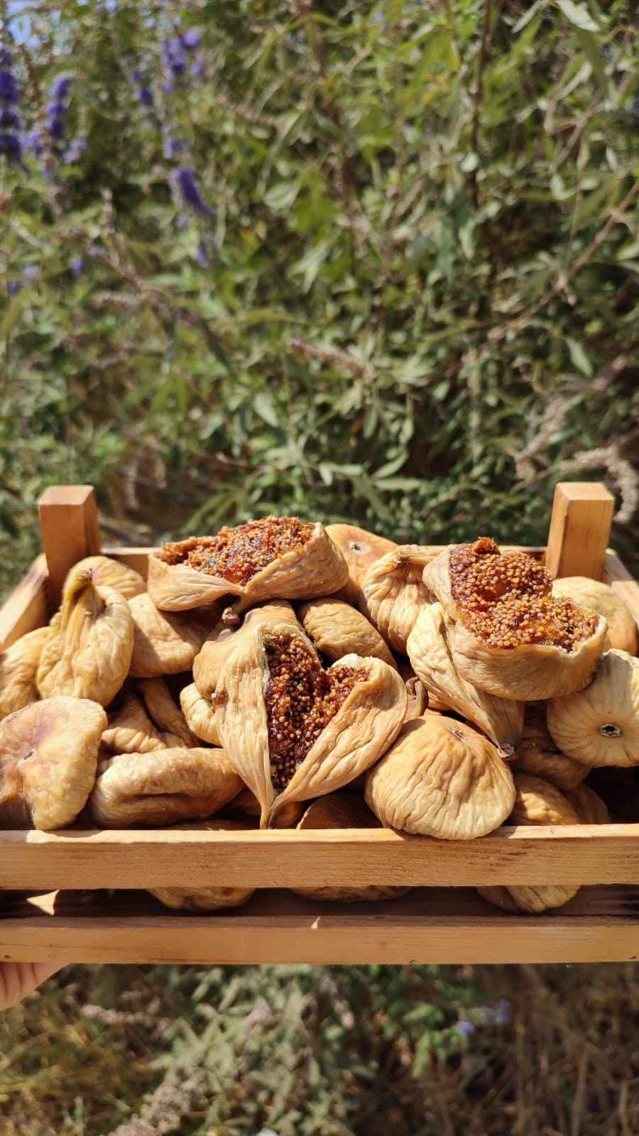 Getrocknete Feigen aus Aydin