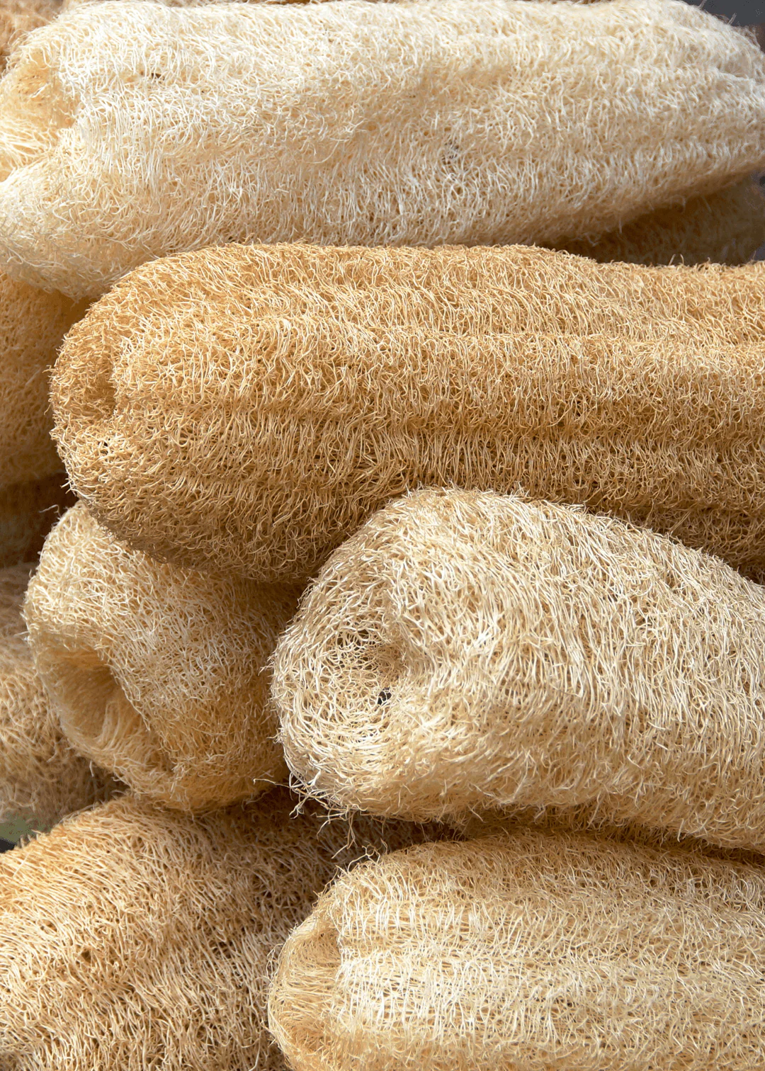 Natur Luffa Schwamm (Kabak Lifi) - Image 2