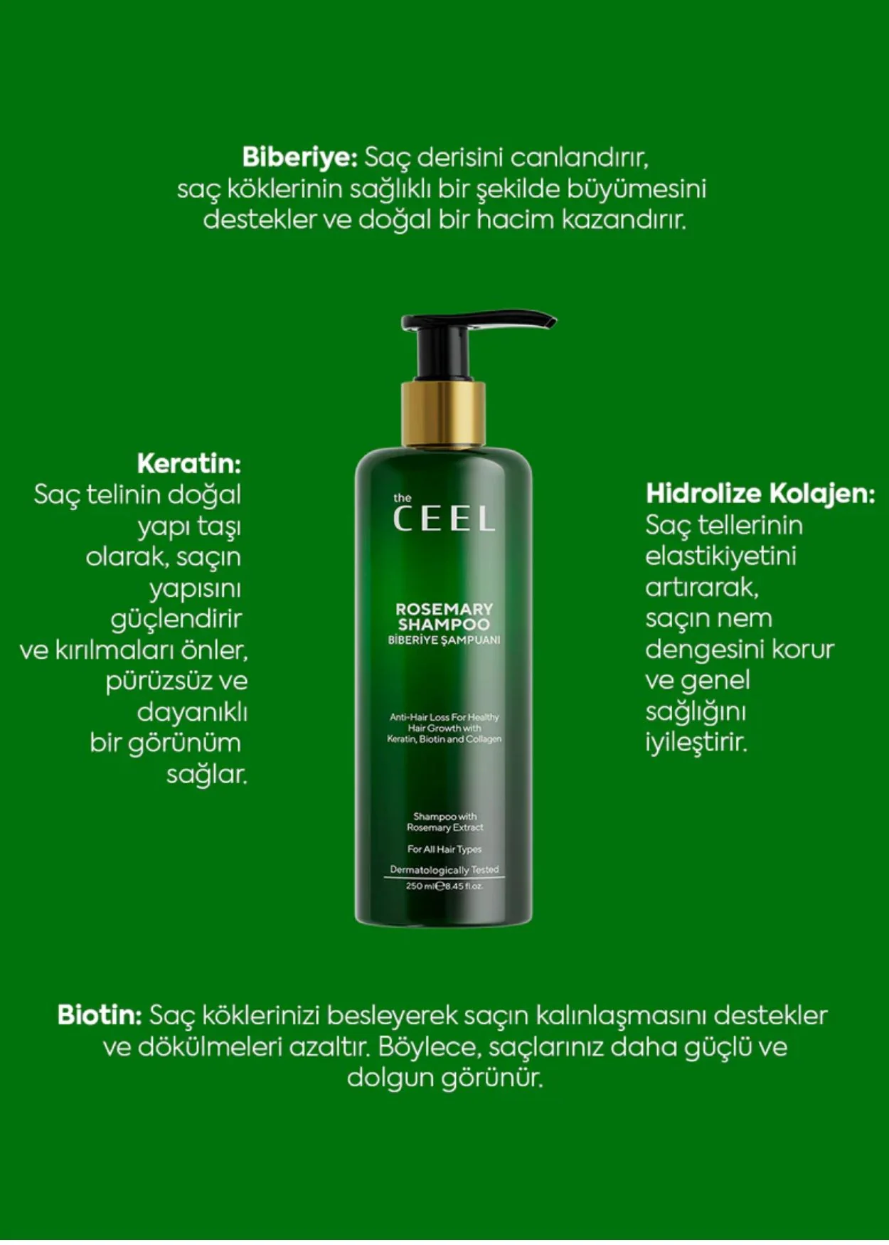 Rosemary Hair Shampoo - Image 6